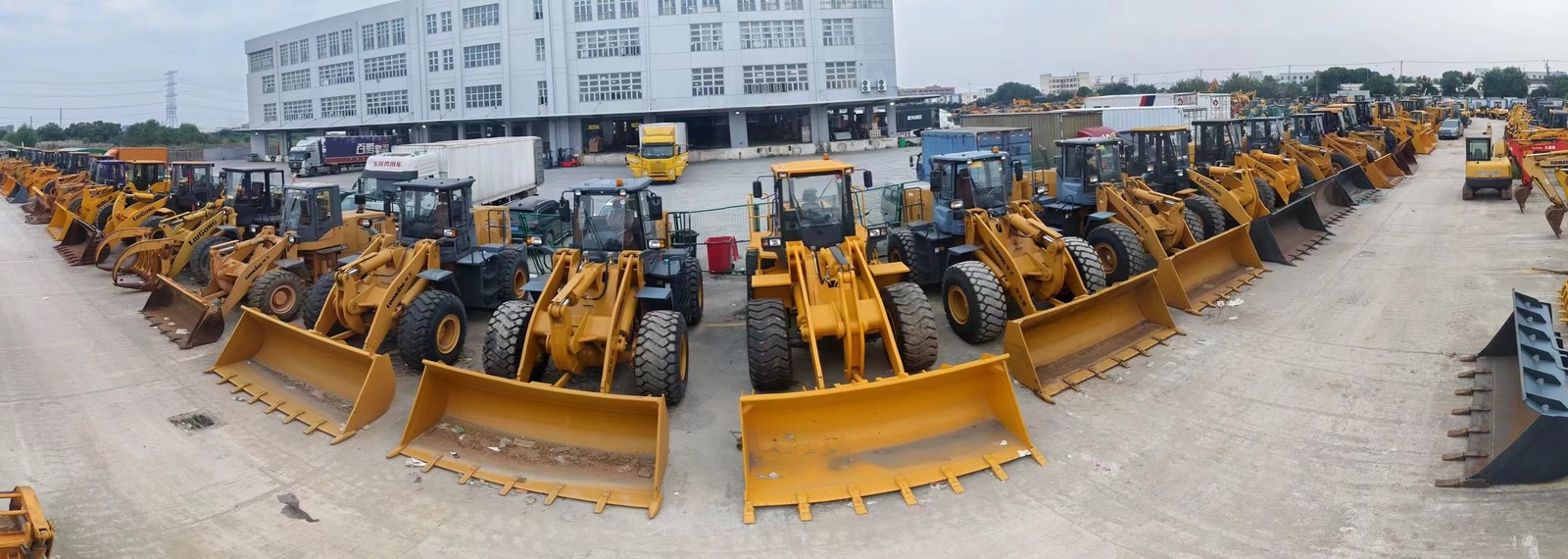Cina Shanghai Jiaming Trading Co., Ltd. profil Perusahaan 